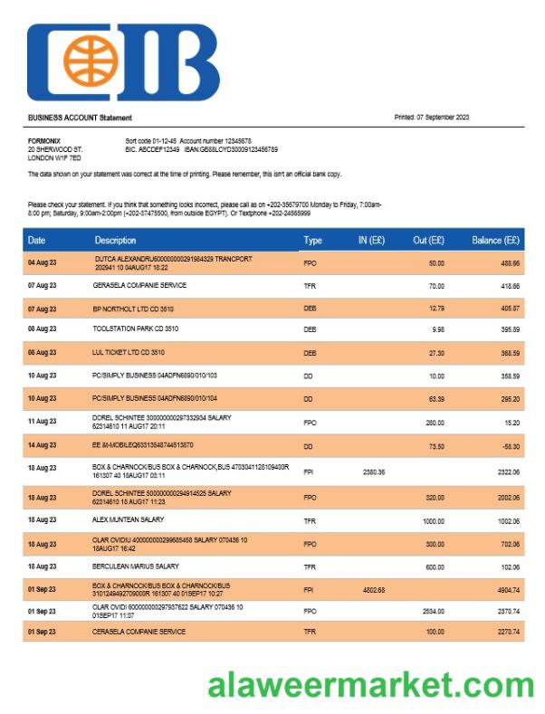 CIB Bank enterprise account statement Word and PDF template